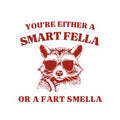 Are You A Smart Fella Or Fart Smella sticker Funny Raccoon Kiss Cut Stickers Weird Decal Meme Sticker Trash PandaGift for Humor Lovers Graphic Tee – Fan Favorite · Top Pick For Any Outfit