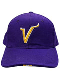 Vintage 90s NFL Nike Minnesota Vikings Purple Fitted Hat Graphic Tee – Easygoing Wear · Top Pick For Any Outfit