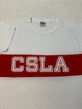 Vintage 1970s 70s California State University Los Angeles Velva Sheen T Shirt L Graphic Tee – Premium Graphic · Trending Graphic Apparel