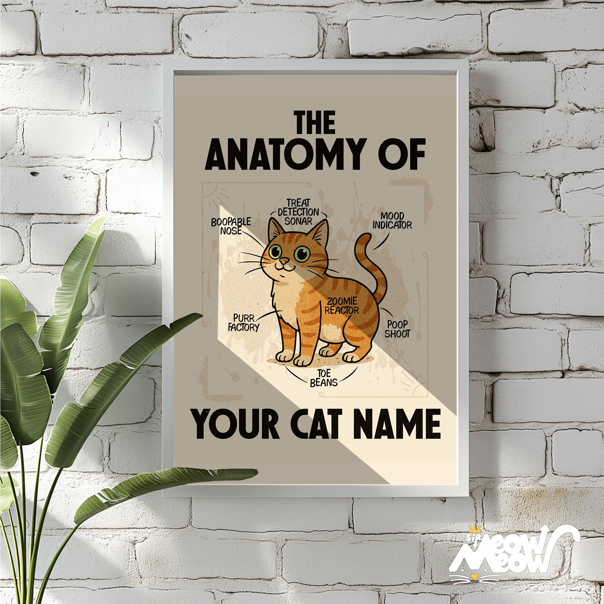Custom Cat Anatomy Poster Funny Personalized Cat Wall Art Cat Breed Name Print Gift for Cat Lovers Graphic Tee – Easygoing Wear · Perfect For Daily Wear